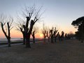 IMG_1280
