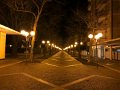 IMG_1296