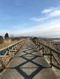 IMG_1309