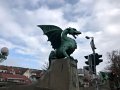IMG_1496