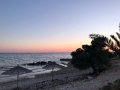 IMG_2457