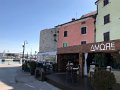 IMG_2482