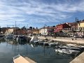 IMG_2484