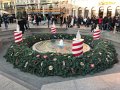 IMG_9425