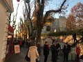 IMG_9449