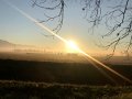 IMG_1309