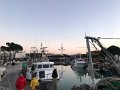 IMG_1342