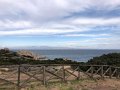 IMG_0406