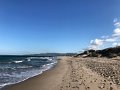 IMG_0533
