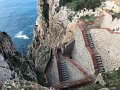 IMG_0556