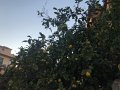 IMG_0804