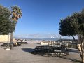 IMG_0880