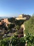 IMG_0910