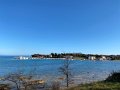 IMG_2190