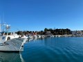 IMG_2208