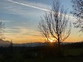 IMG_8240