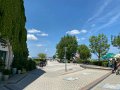 IMG_4453