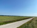 IMG_4557