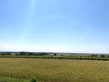 IMG_4598