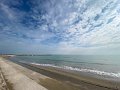 IMG_7391