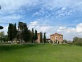 IMG_7407