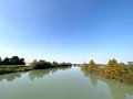 IMG_7481