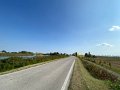 IMG_7488