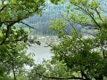 IMG_4023