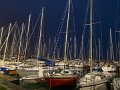 IMG_7654