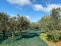 IMG_7757
