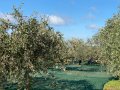 IMG_7758