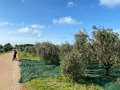 IMG_7760