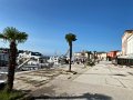 IMG_7782
