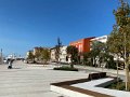 IMG_7786