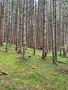 IMG_6779