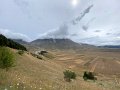 IMG_5906