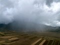 IMG_5926