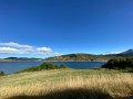 IMG_5980