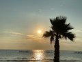IMG_6032