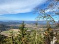 IMG_7956