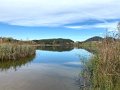 IMG_7973