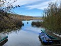 IMG_7977