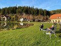 IMG_8010