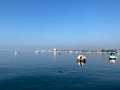 IMG_1908