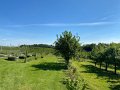 IMG_3470