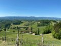 IMG_3483