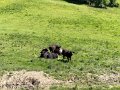 IMG_3522