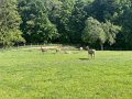 IMG_3632