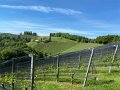 IMG_3633