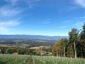 IMG_7226